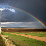 BIZ_FARM-LAND-BIZPLUS_MS